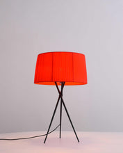 Red Carbon Steel Table Lamp 18