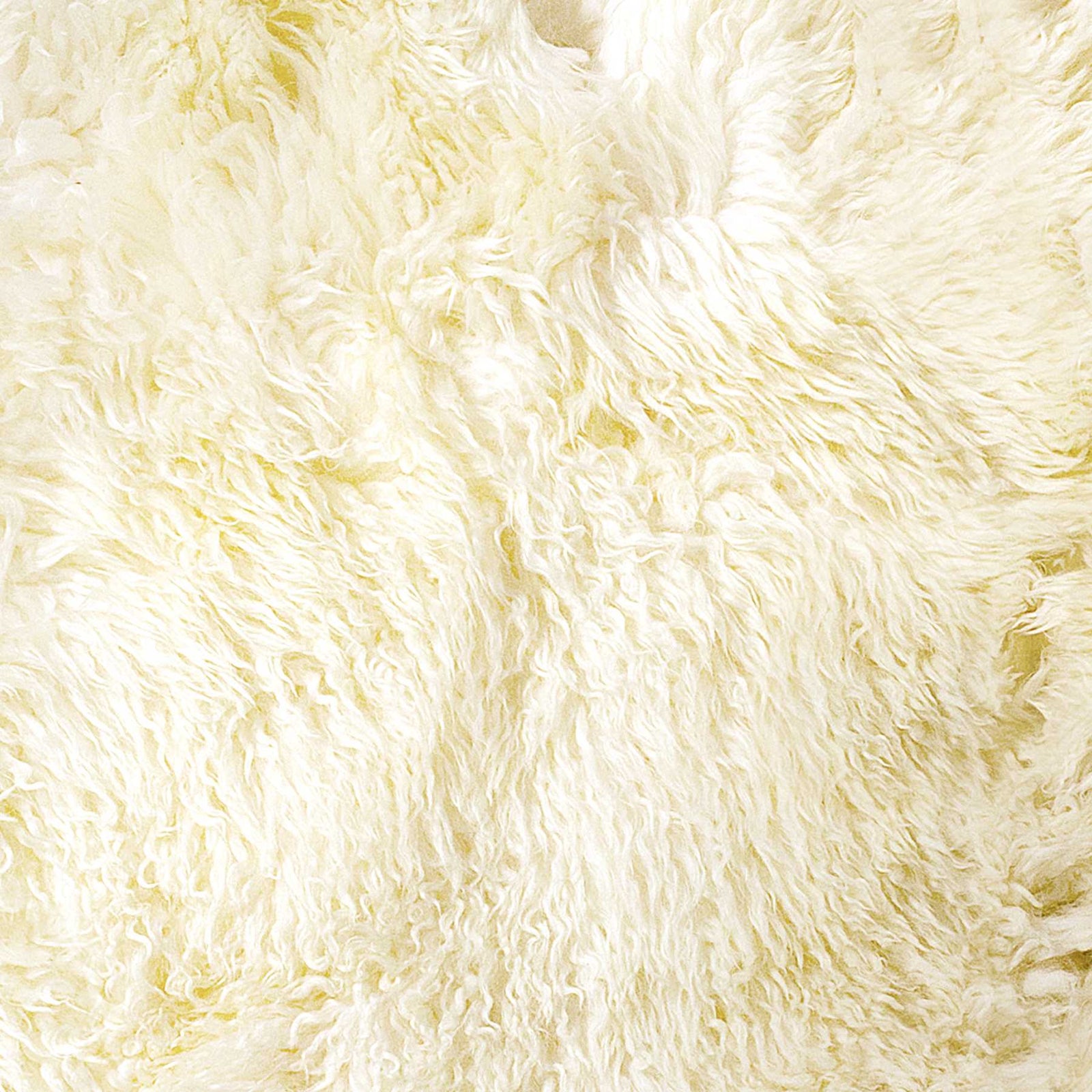 Natural New Zealand Sheepskin Wool Area Rug - 2' x 3'