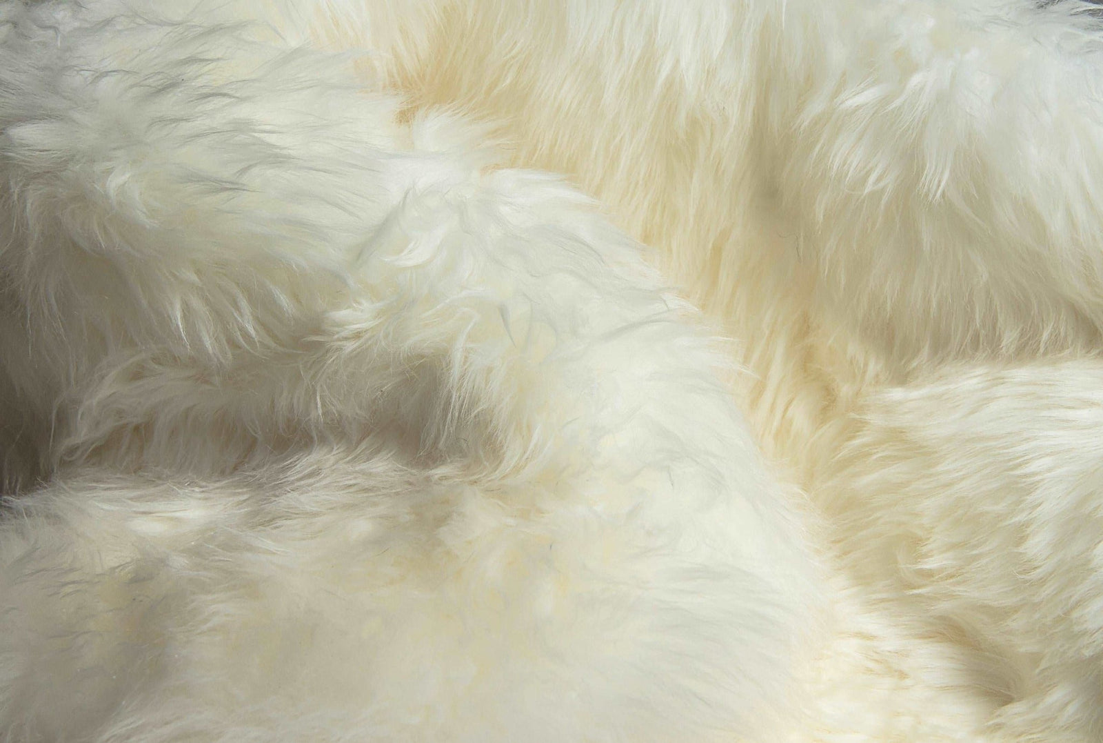 Natural New Zealand Sheepskin Wool Area Rug in White 2' x 3'
