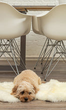 Natural New Zealand Sheepskin Wool Area Rug in White 2' x 3'