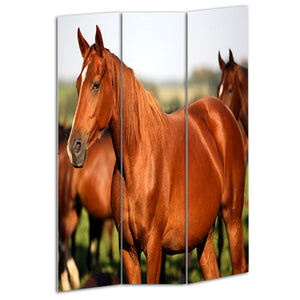 1" X 48" X 72" Multi Color Wood Canvas Horse  Screen