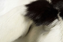 Natural Black And White Calfskin Area Rug - 2' x 3'