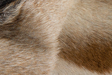 Natural Black And White Calfskin Area Rug - 2' x 3'