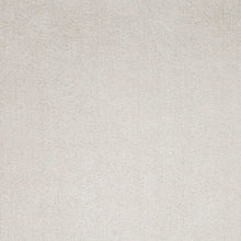 8'X10' Ivory Indoor Shag Rug