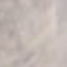 9'X12' Light Grey Bordered Floral Indoor Area Rug