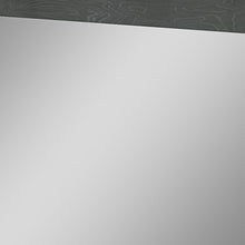 63 X 1 X 48 亮灰色玻璃鏡