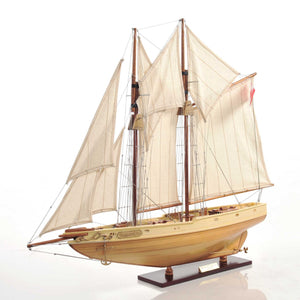 Bluenose Model In Light Brwon Finish