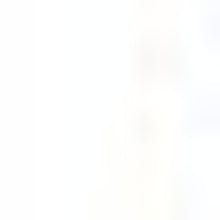 4’ X 6’ Gray And Blue Persian Medallion Area Rug