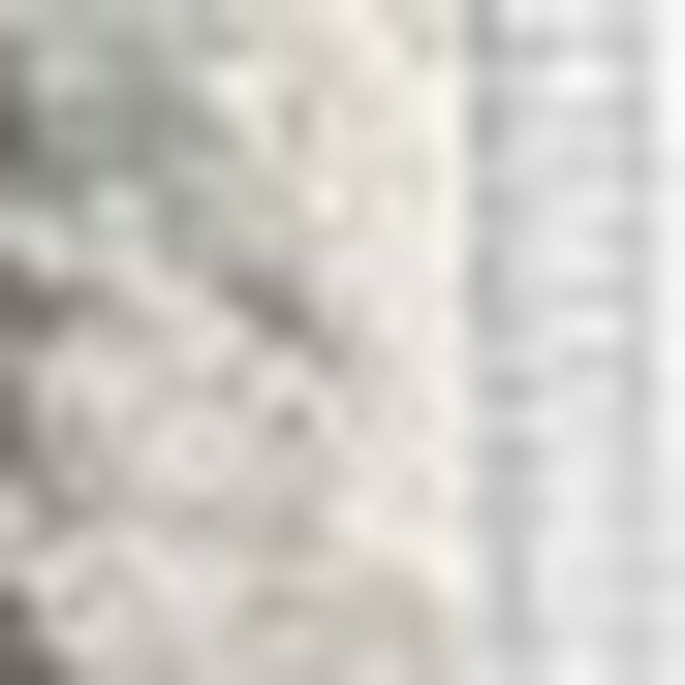 2’ X 4’ Gray Distressed Medallion Area Rug