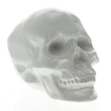 White Ceramic Skull Sculpture
