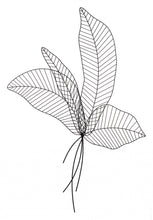 Matte Black Boho Chic Palm Leaf Wall Art