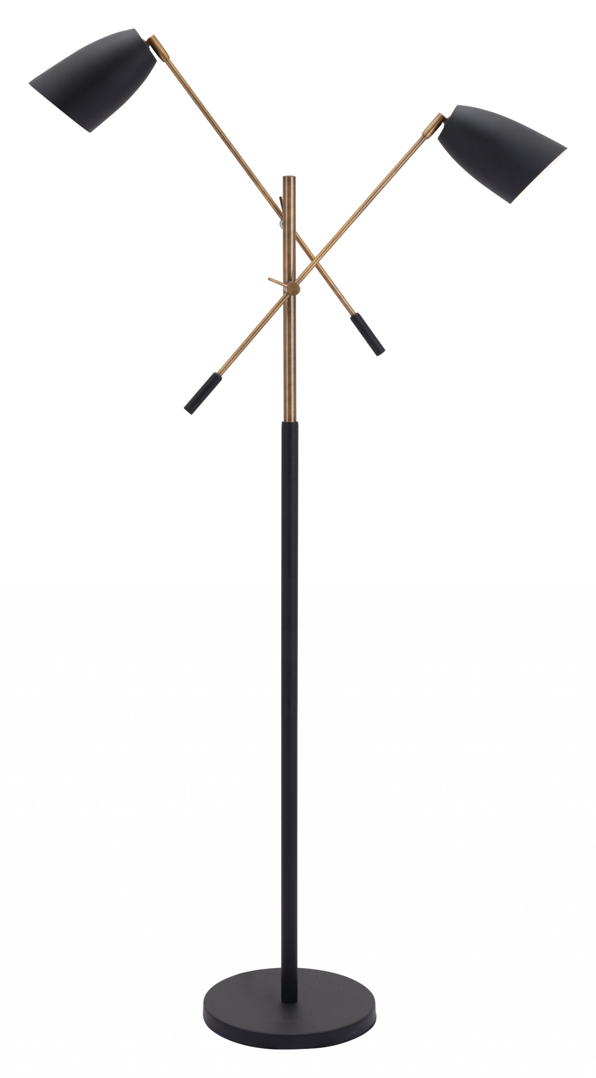 Black and Gold Adjustable Floor Lamp