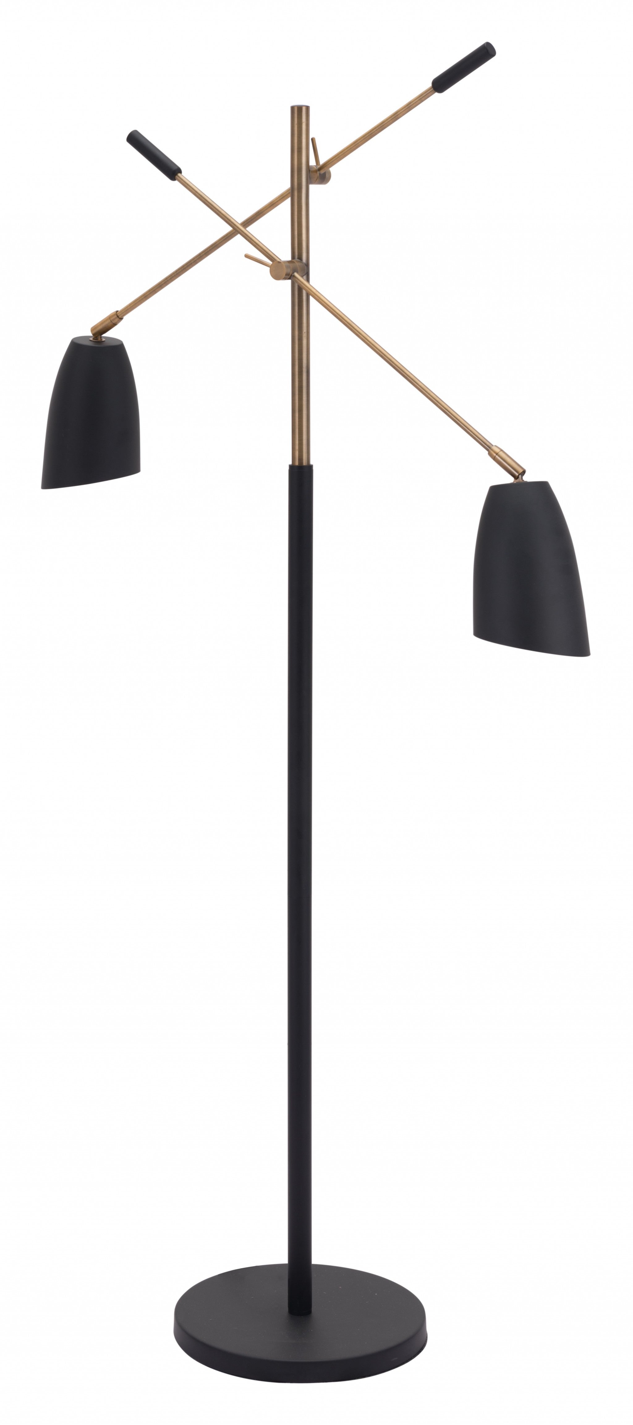 Black and Gold Adjustable Floor Lamp