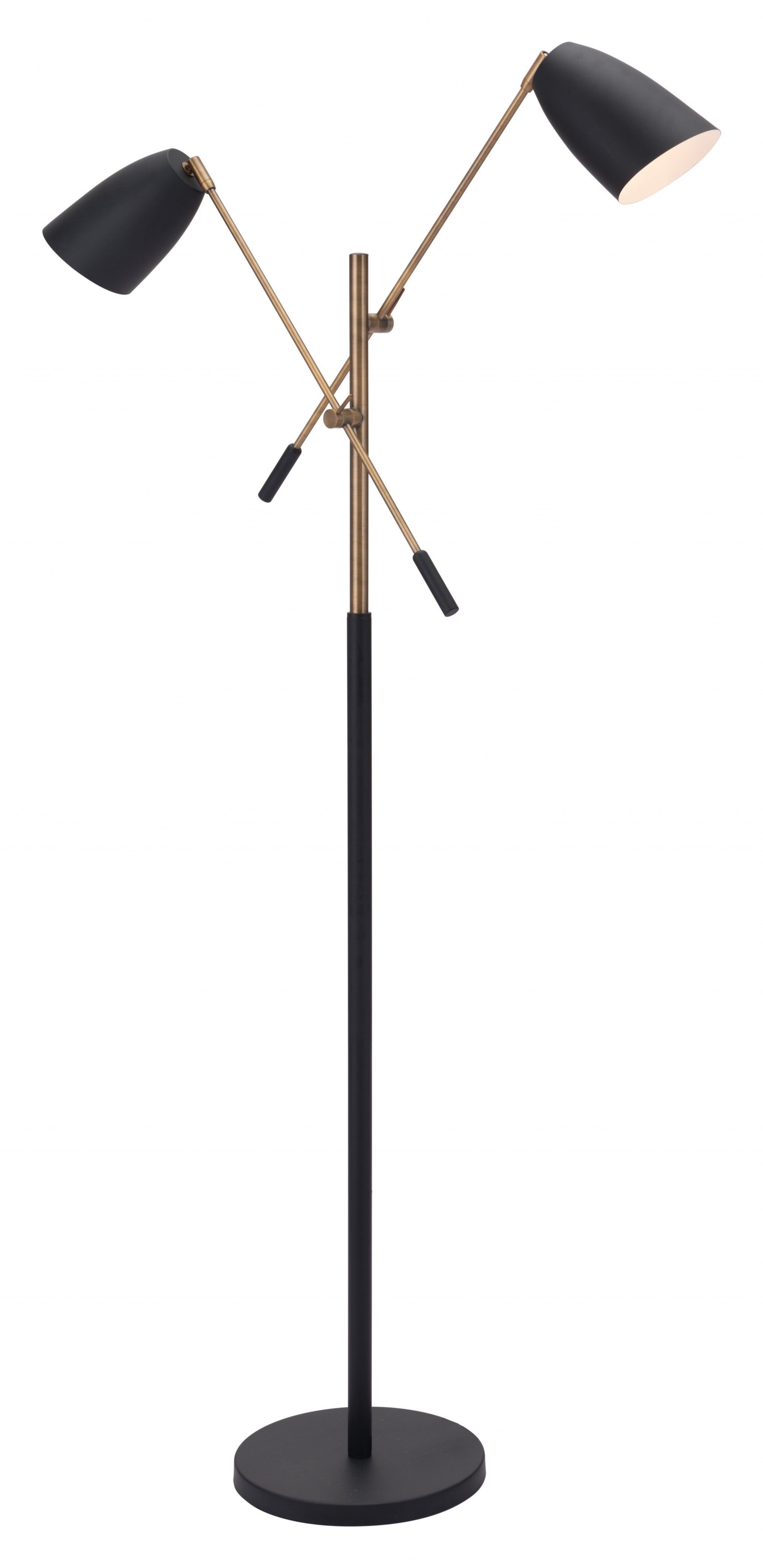Black and Gold Adjustable Floor Lamp