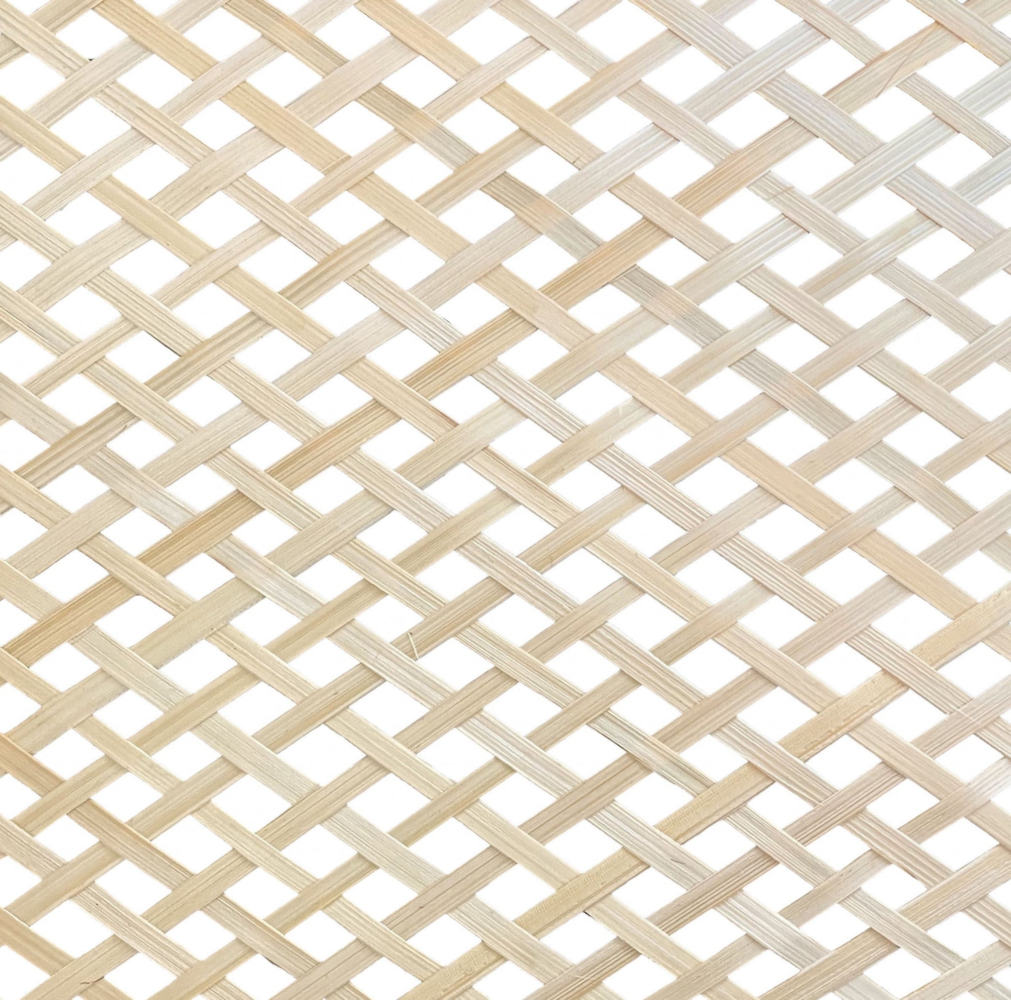 Natural Boho Weave Ceiling Lamp