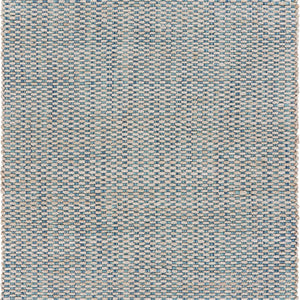 8’ x 10’ Blue and Beige Toned Area Rug