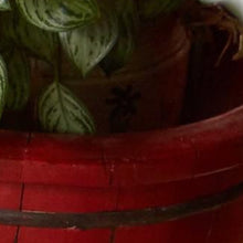 5’ x 8’ Tan and Ivory Grid Area Rug