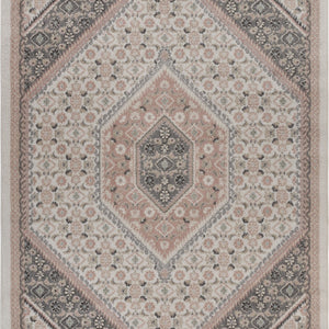 5’ x 7’ Gray and Blush Traditional Area Rug