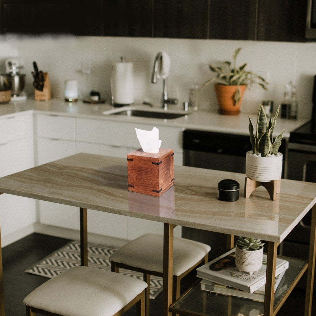 Set of 2 Rustic White Mango Wood Square Tissue Holders