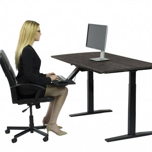 Premier 45" Black Dual Motor Electric Office Adjustable Standing Desk