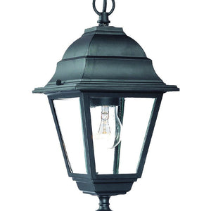 Matte Black Beveled Glass Outdoor Hanging Light