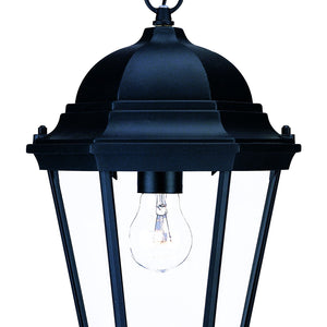 Matte Black Domed Glass Lantern Hanging Light