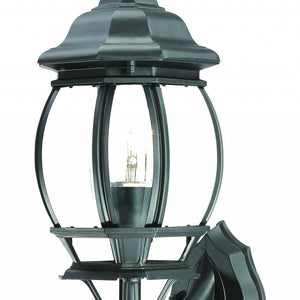 Matte Black Ornamental Glass Globe Wall Light