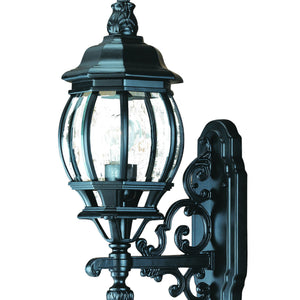 Matte Black Glass Globe Wall Light