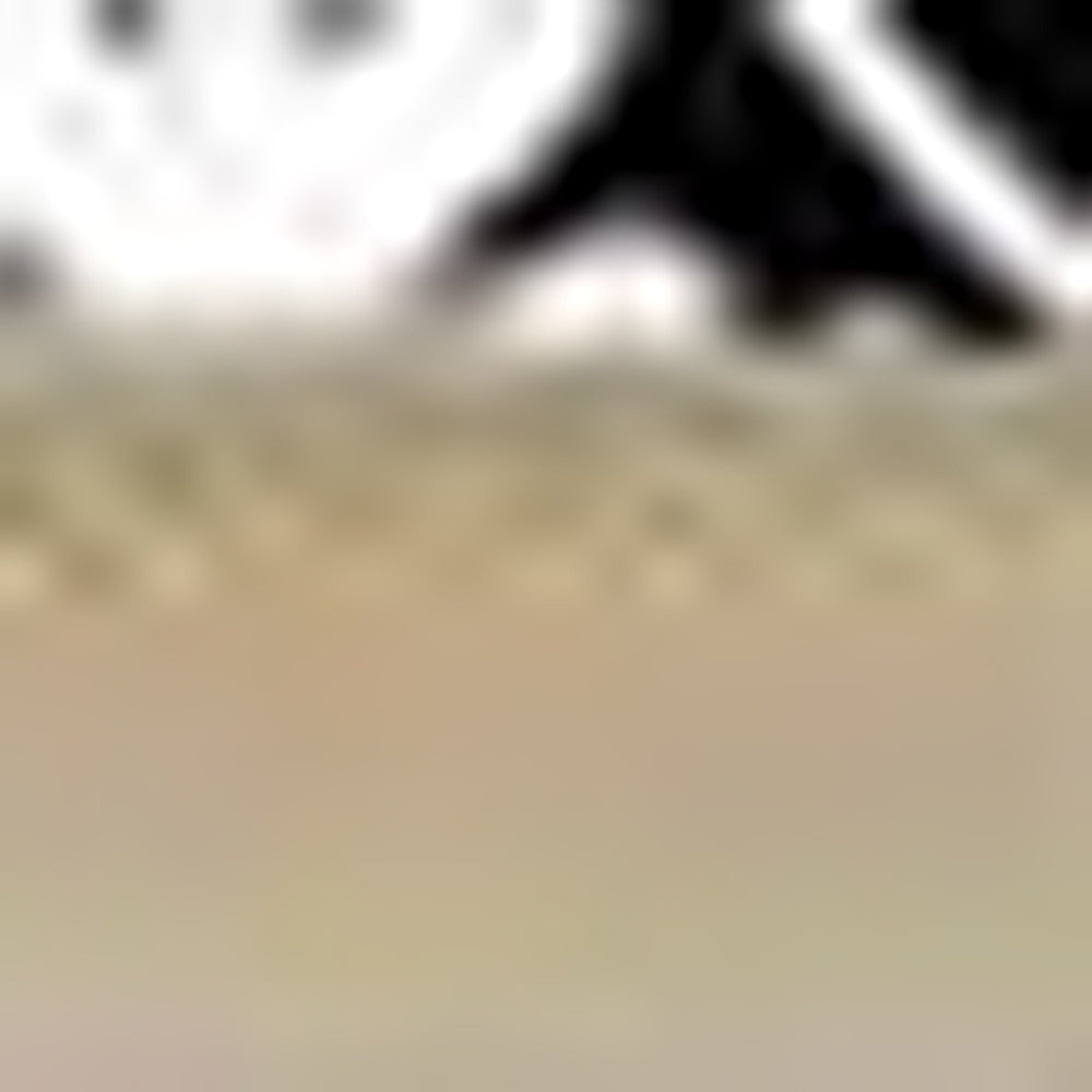 5" X 5" Black and White Floral Peel and Stick Removable Tiles