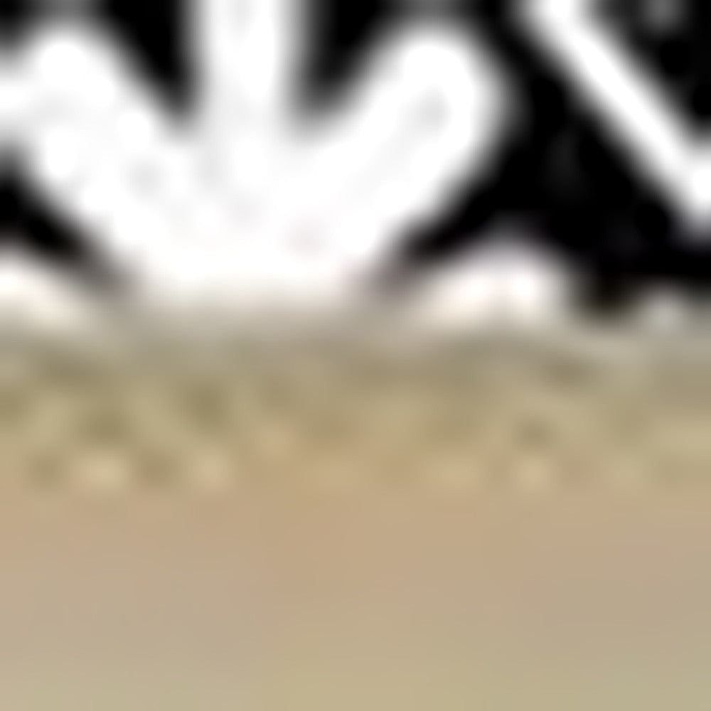 5" X 5" Black and White Floral Peel and Stick Removable Tiles