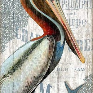 Colorful Pelican Wall Décor