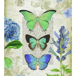 Three Vibrant  Butterflies XL Tapestry Wall Décor