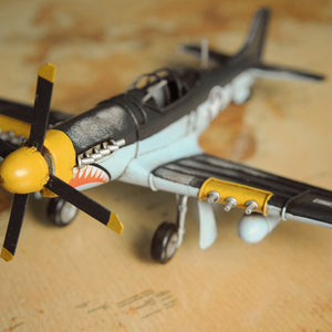 6" Steel Metal Airplane Hand Painted Decorative Airplane