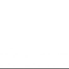 Arctic Wolf 2 Black Framed Print Wall Art