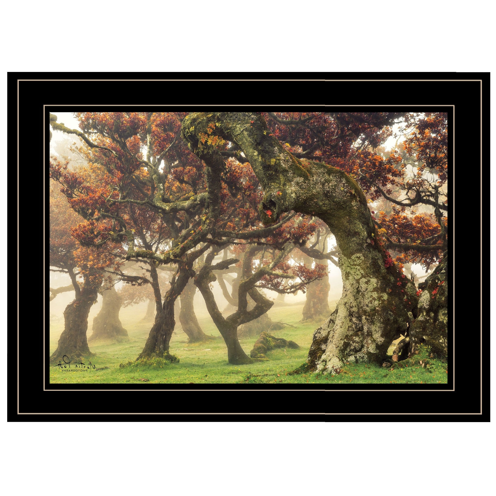 Fanal Martin Podt Ready To Hang Framed Print Black Frame Black Framed Print Wall Art