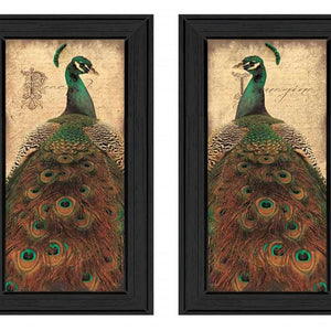 Set Of Two Peacock 2 Black Framed Print Wall Art