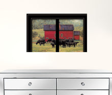 By The Red Barn Herd Of Angus 2 Black Framed Print Wall Art