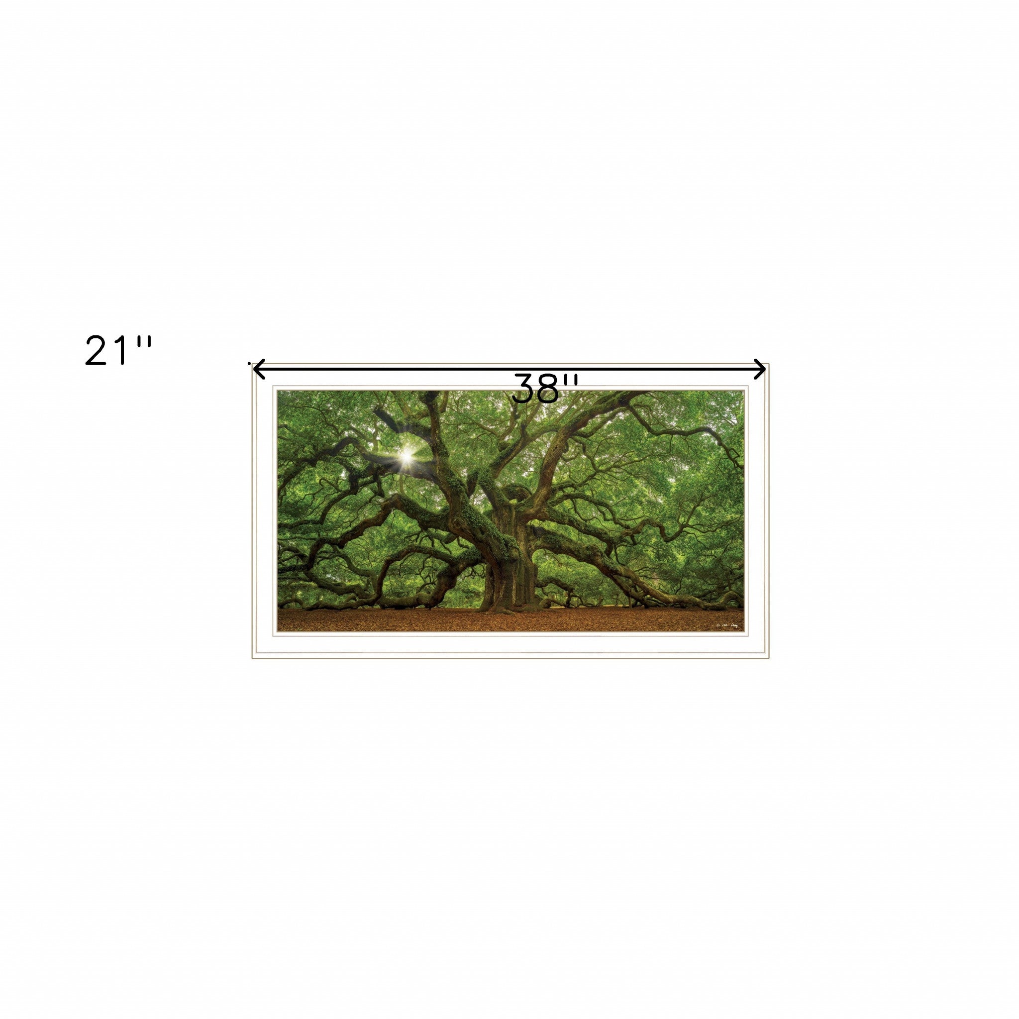 Mighty Moss Laden Tree White Framed Print Wall Art
