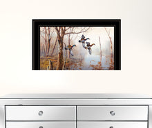 Master Of His Domain Collection 2 Black Framed Print Wall Art