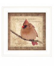 Female Cardinal 1 White Framed Print Wall Art