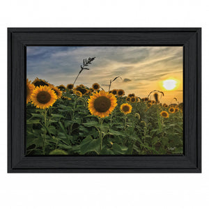 Midwest Livin I 2 Black Framed Print Wall Art