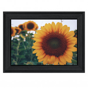 Midwest Livin II 3 Black Framed Print Wall Art
