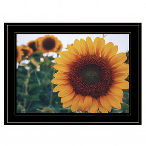 Midwest Livin II 4 Black Framed Print Wall Art