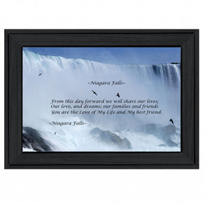 Niagara Falls Black Framed Print Wall Art