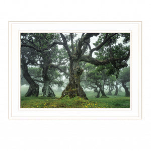 Enchanted Forest I 2 White Framed Print Wall Art