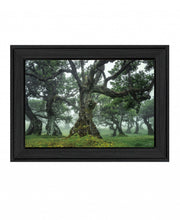Enchanted Forest I 3 Black Framed Print Wall Art