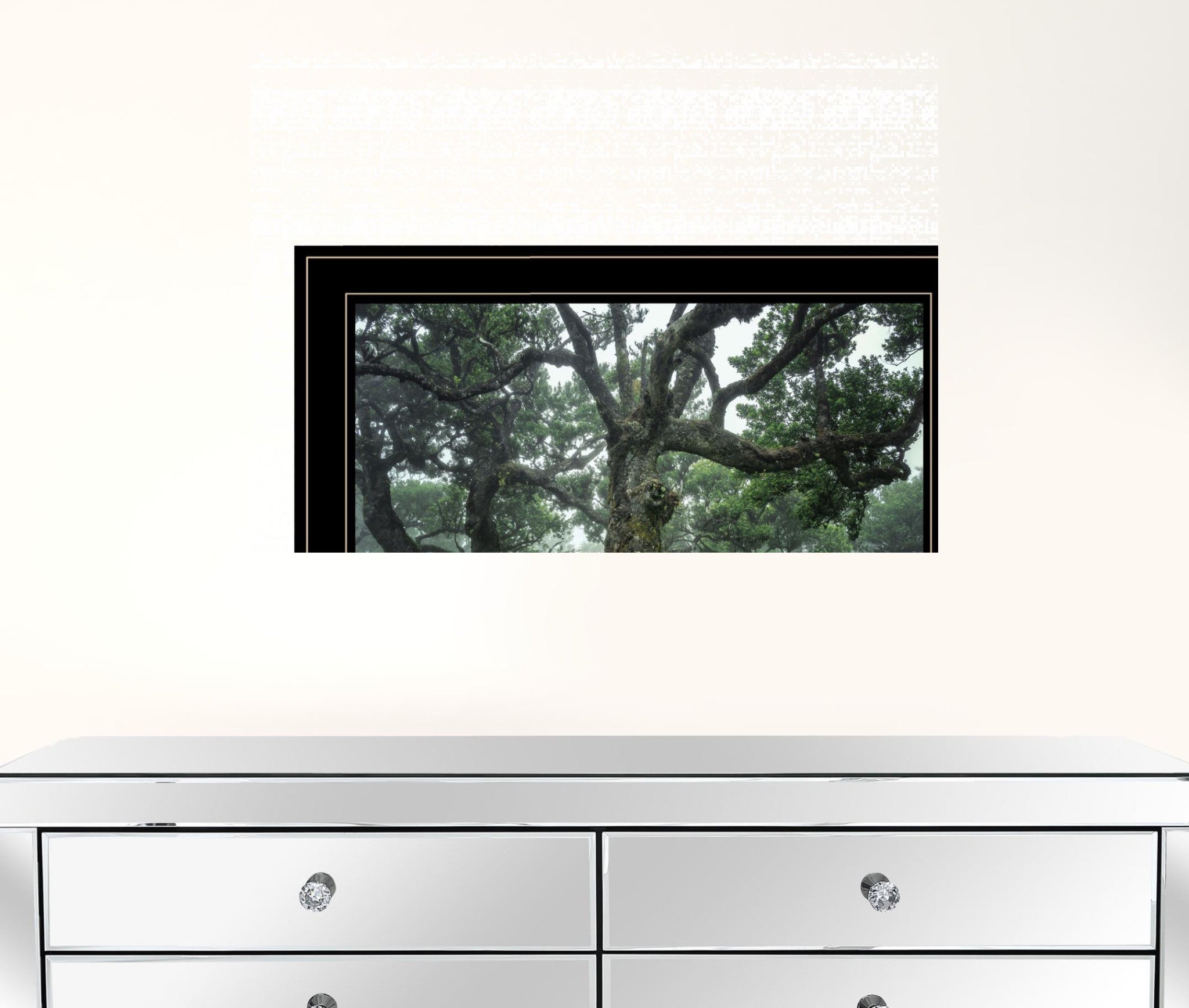 Enchanted Forest I 4 Black Framed Print Wall Art