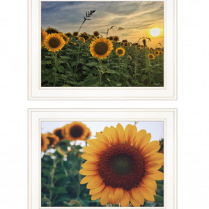 Set Of Two Midwest Living 1 White Framed Print Wall Art