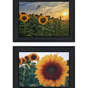Set Of Two Midwest Living 2 Black Framed Print Wall Art