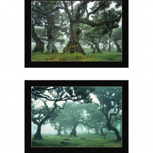 Set Of Two Enchanted Forest 4 Black Framed Print Wall Art
